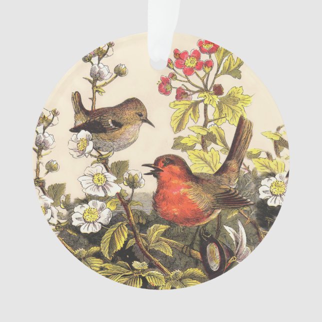 Ornamento Primavera Robin Birds Red Birds (Frente)
