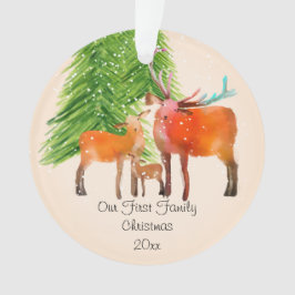 Ornamento Primeira Família de Veados Decoração Acrílica de N