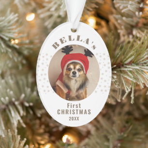 Ornamento Primeira Foto de Cachorro de Natal Estrelas