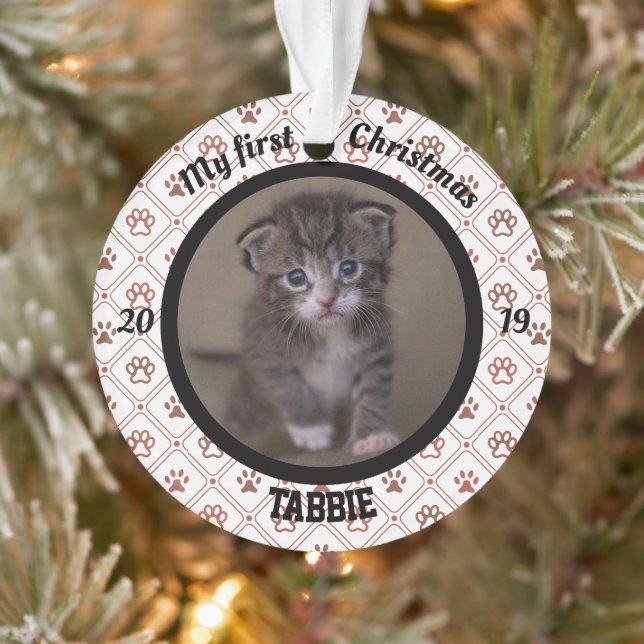 Ornamento Primeira foto de Natal de Kitten Personalizado (Árvore)