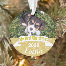 Ornamento Primeira foto de Natal de Puppy