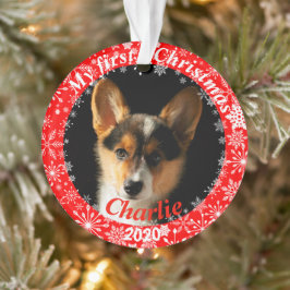 Ornamento Primeira foto de Natal de Puppy