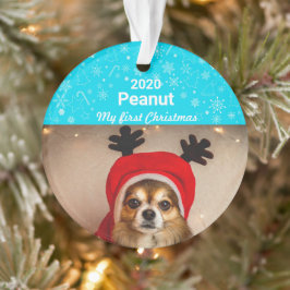 Ornamento Primeira foto de Natal de Puppy