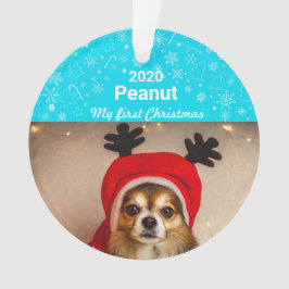 Ornamento Primeira foto de Natal de Puppy