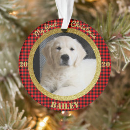 Ornamento Primeira foto de Natal de Puppy