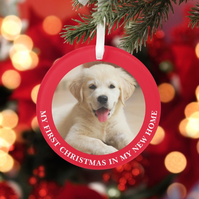 Ornamento Primeiro Cachorro de Natal Personalizado Foto (Criador carregado)