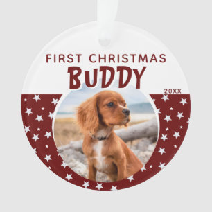 Ornamento Primeiro Natal Cachorro com Estrela Vermelha Foto