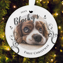 Primeiro Natal do Cachorrinho Folhagem Nome do Cac