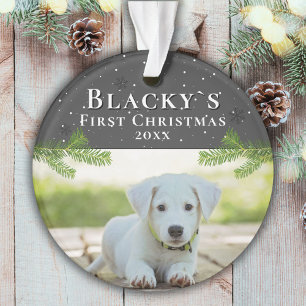 Ornamento Primeiro Natal Foto de Natal Puppy