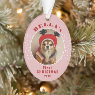 Ornamento Primeiro Natal - Pet Photo Stars Blush Pink