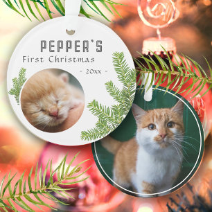 Ornamento Primeiro Natal Pine Kitten Cat 2 Fotografia Keepsa