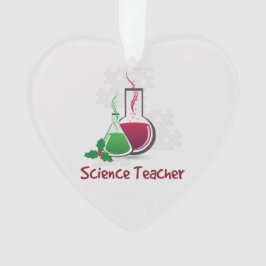 Ornamento Professor de Ciências, Experiências Feliz Natal