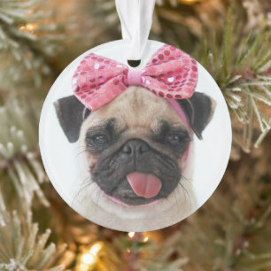 Ornamento Pug com Arco rosa