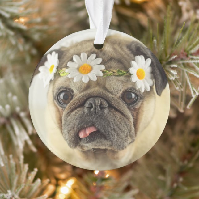Ornamento Pug com Daisy Crown (Árvore)