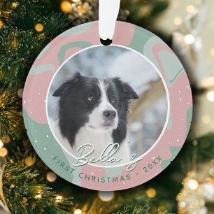 Ornamento Puppy First Christmas Border Collie Dog Foto