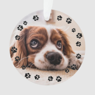 Ornamento Puppy Photo Pawprint