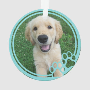 Ornamento Pw Imprime Foto Personalizada Pet de Quadro