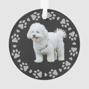 Ornamento Pw Imprime Foto Personalizada Pet de Quadro