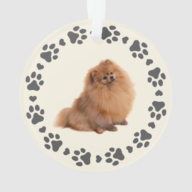 Ornamento Pw Imprime Foto Personalizada Pet de Quadro (Verso)