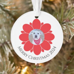 Ornamento Quadro de Flor Vermelho para Foto Pet no Natal