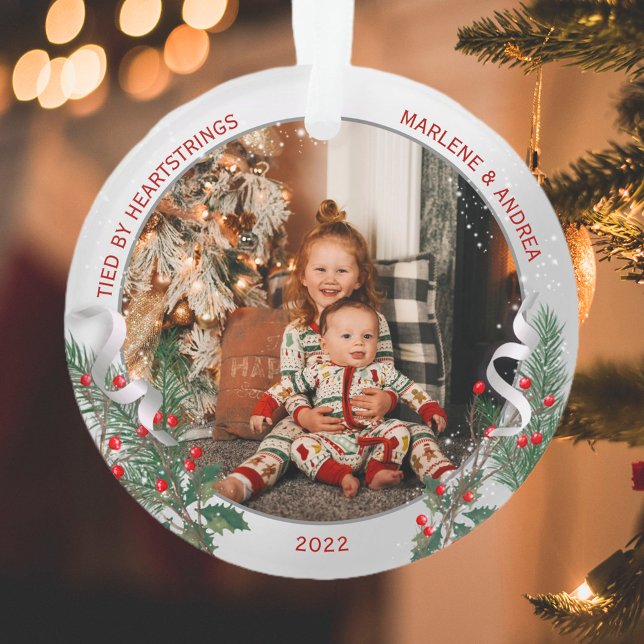 Ornamento Quadro de Planta de Prata Clássica de Natal Big Si (Criador carregado)