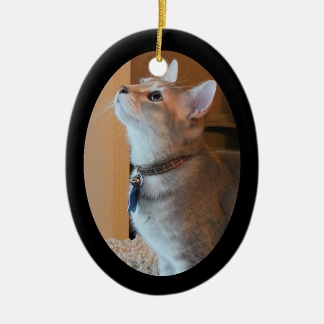 Ornamento quadro foto do Oval 2-Sided do gatinho (Frente)