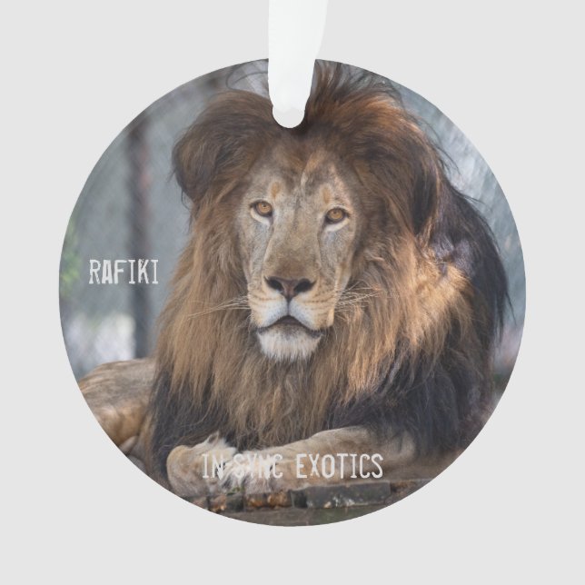 Ornamento Rafiki - (Frente)