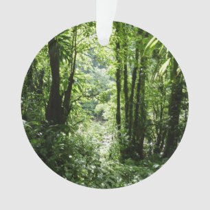 Ornamento Rain Forest II Tropical Verde