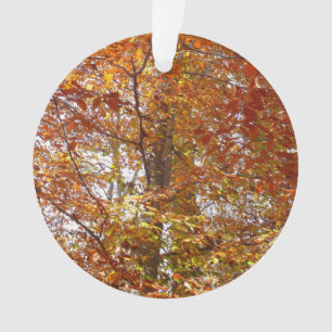 Ornamento Ramos de Folhas Laranja Outono Natureza