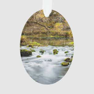 Ornamento Rapids de Primaveras becos