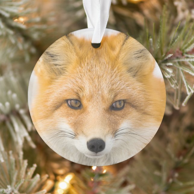 Ornamento Red Fox Portrait (Árvore)