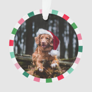 Ornamento Red Green Starburst Strips Cachorro Natal