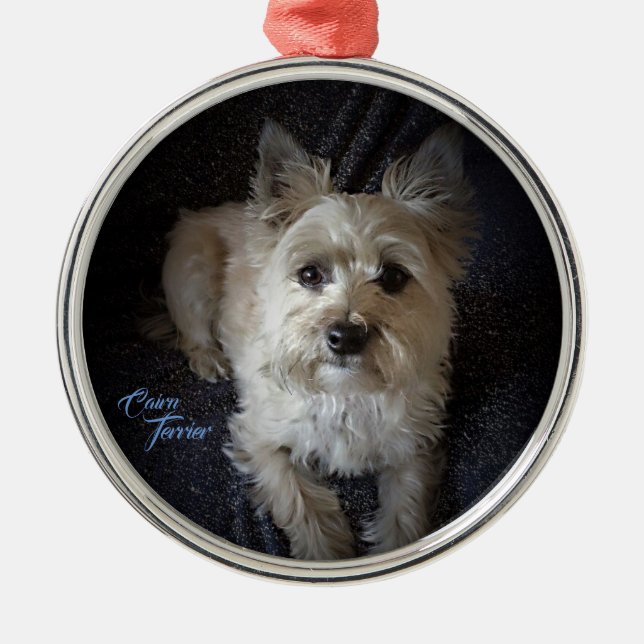 Ornamento redondo superior de Cairntensity (Frente)