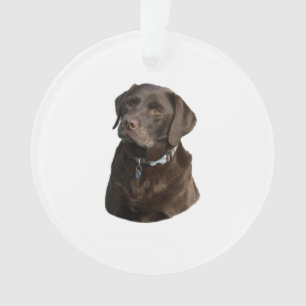 Ornamento Retrato da foto do cão de Labrador do chocolate