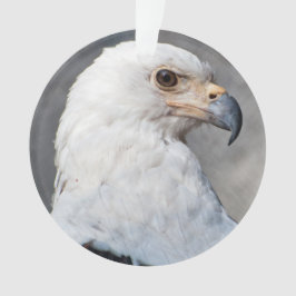Ornamento Retrato de Águia Balda Americana
