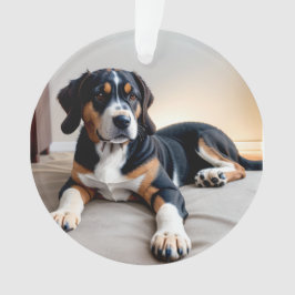 Ornamento Retrato de Cão Tri-Color