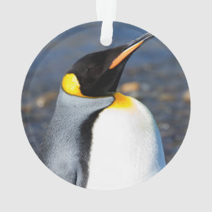 Ornamento Retrato de pinguim
