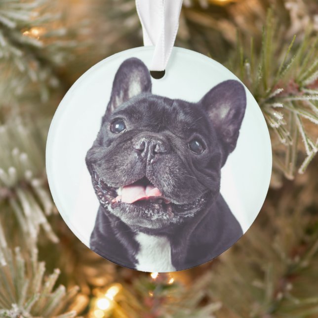 Ornamento Retrato de um Bulldog Francês Feliz (Árvore)