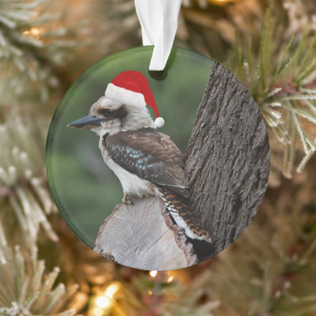 Ornamento Rindo Kookaburra Pássaro Natal Red Santa Hat (Árvore)