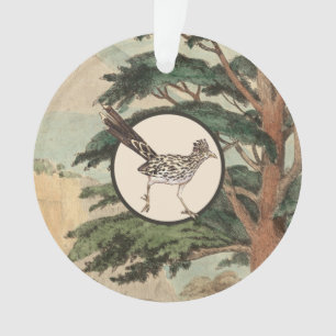 Ornamento Roadrunner na ilustração do habitat natural