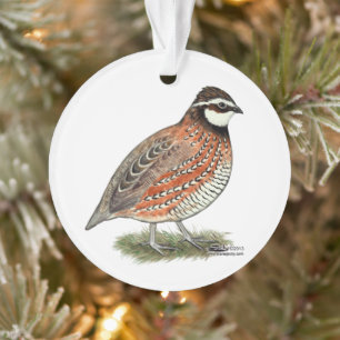 Ornamento Rooster Bobwhite Quail