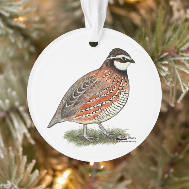 Ornamento Rooster Bobwhite Quail (Árvore)