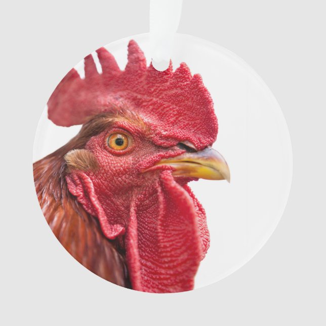 Ornamento Rooster Face (Frente)