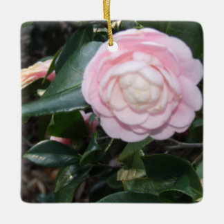 Ornamento Rosa Camellia