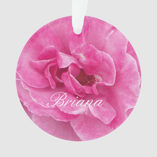 Ornamento Rosa de Jardim Rosa (Frente)