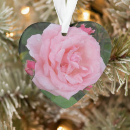 Ornamento Rosa Rosa Clássica Acrílica
