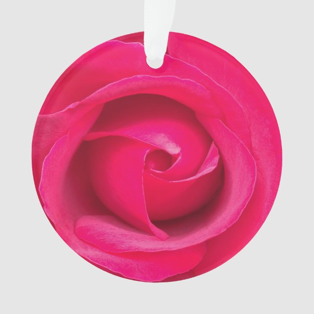 Ornamento Rosa Rosa Vermelha Romântica (Frente)