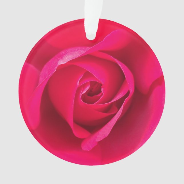 Ornamento Rosa Rosa Vermelha Romântica v2 (Frente)