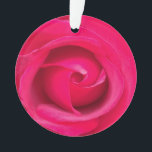 Ornamento Rosa Vermelha Romântica<br><div class="desc">Rosa rosa e vermelha romântica</div>