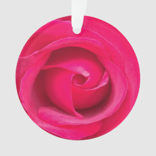 Ornamento Rosa Vermelha Romântica